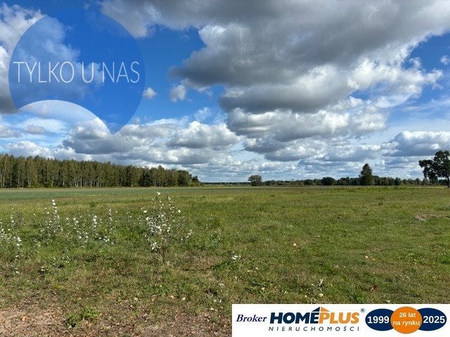 Działka rolna na sprzedaż Łąki  14 000m2 Foto 1