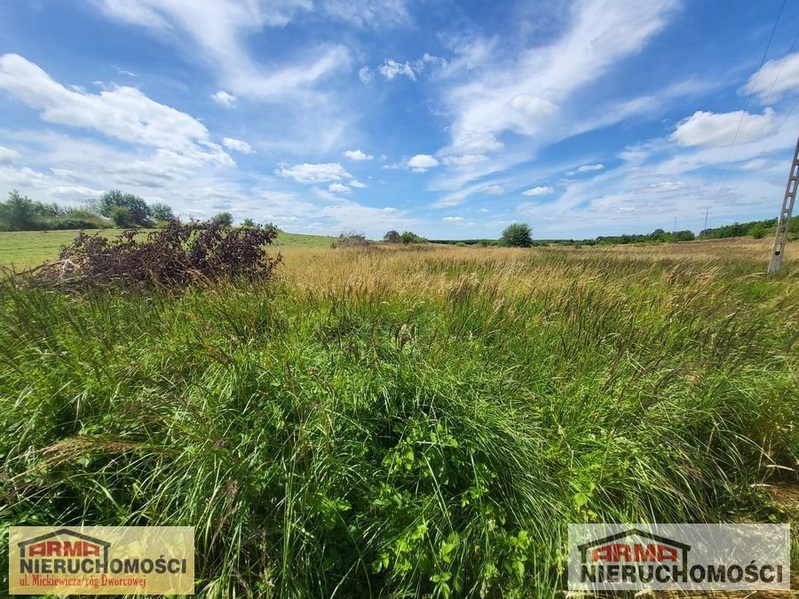 Działka rolna na sprzedaż Dobrzany  10 800m2 Foto 2