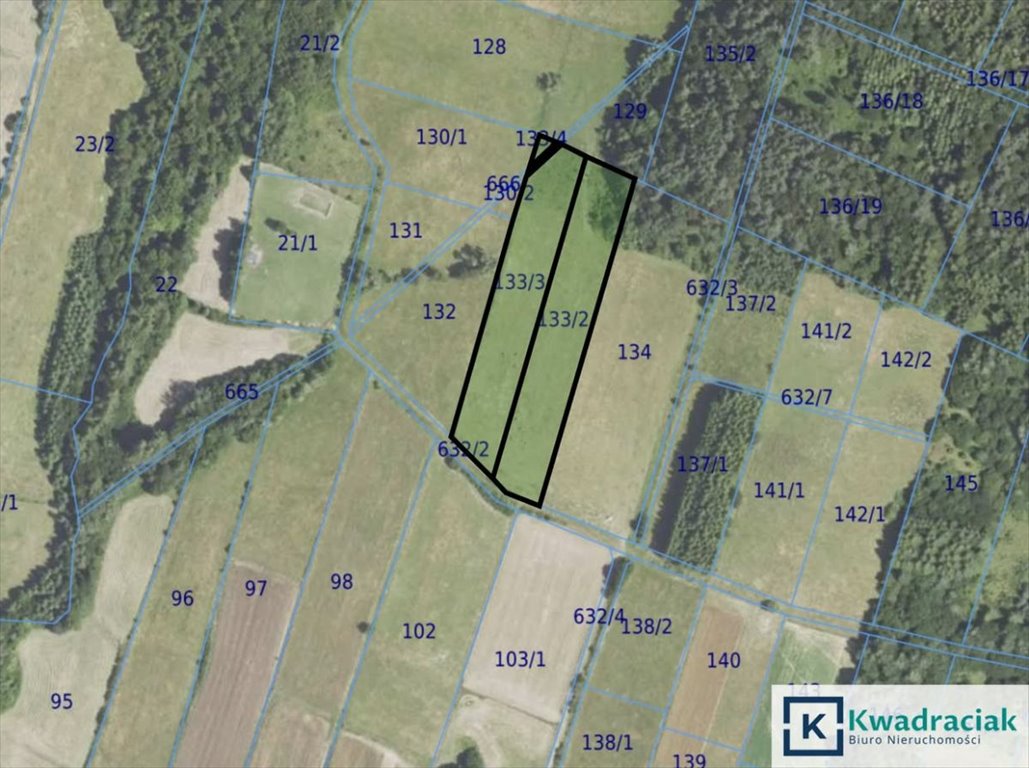Działka rolna 95 arów, regularny kształt, dojazd polną drogą Brzezowa  9 500m2 Foto 1