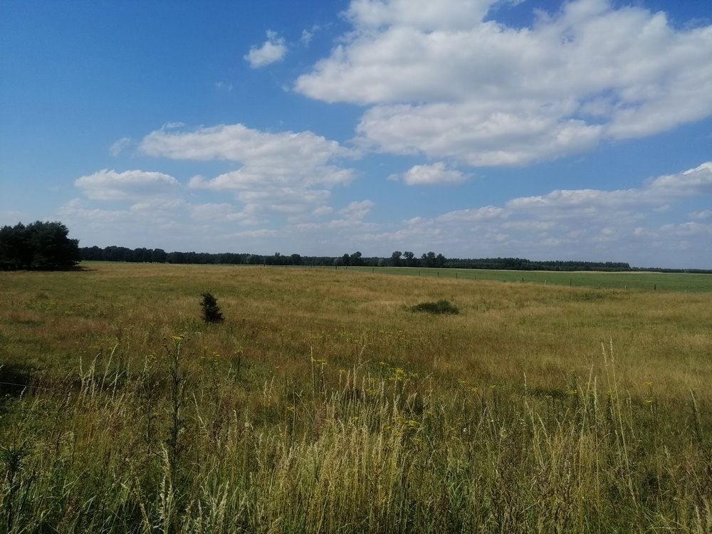 Działka rolna na sprzedaż Dobrzany  148 400m2 Foto 8