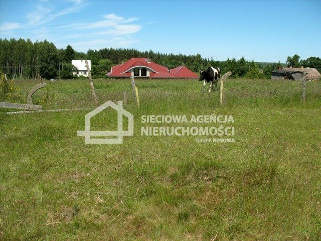 Działka budowlana na sprzedaż Szczenurze 1 687m2 Foto 1 Działka budowlana na sprzedaż Szczenurze 1 687m2 Foto 1