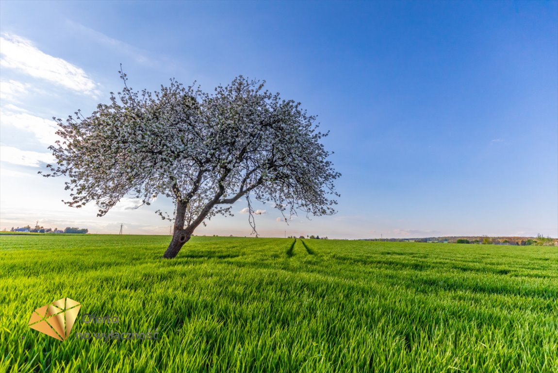 Działka rolna na sprzedaż Piotrkówek  3 200m2 Foto 1