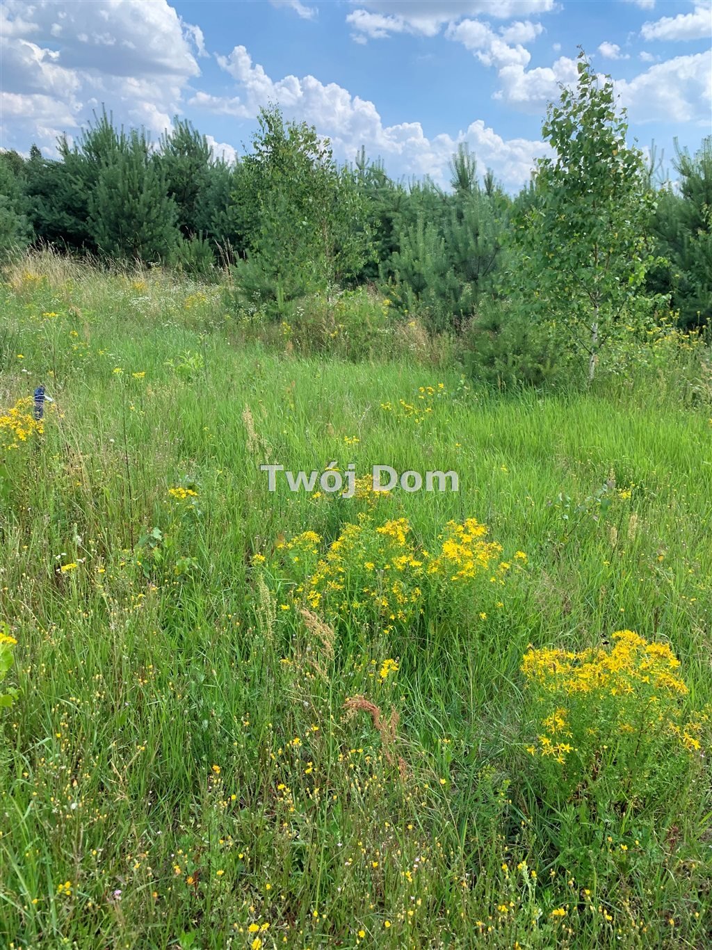 Działka budowlana z warunkami, las, jezioro 2,5 km. Koronowo  3 214m2 Foto 1