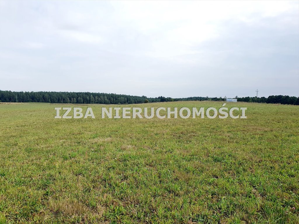 Działka rekreacyjna na sprzedaż Grabnik  3 400m2 Foto 9