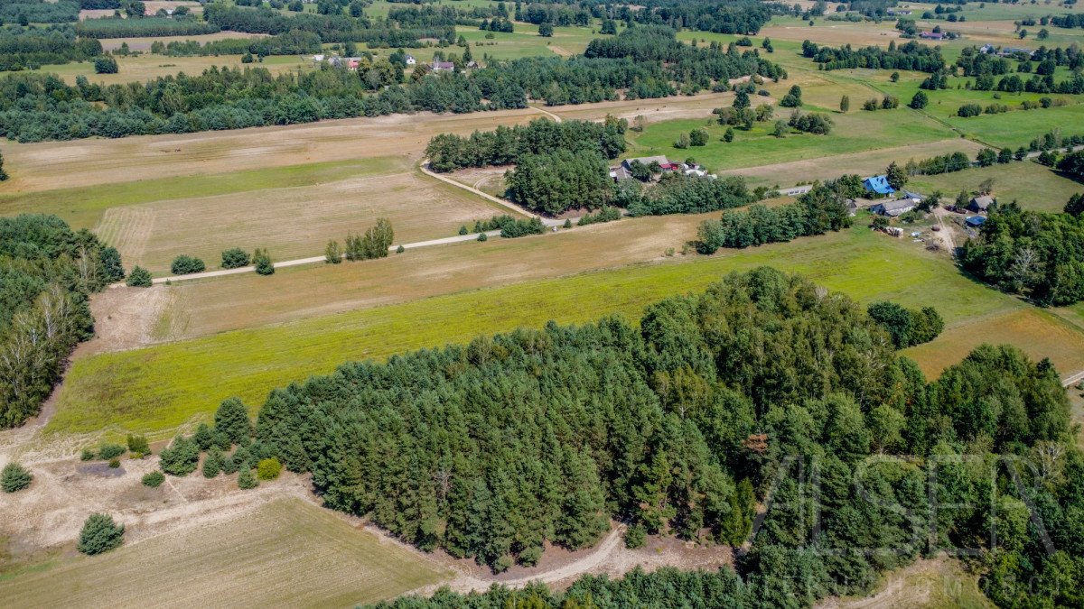 Działka budowlana na sprzedaż Marianowo  29 831m2 Foto 5