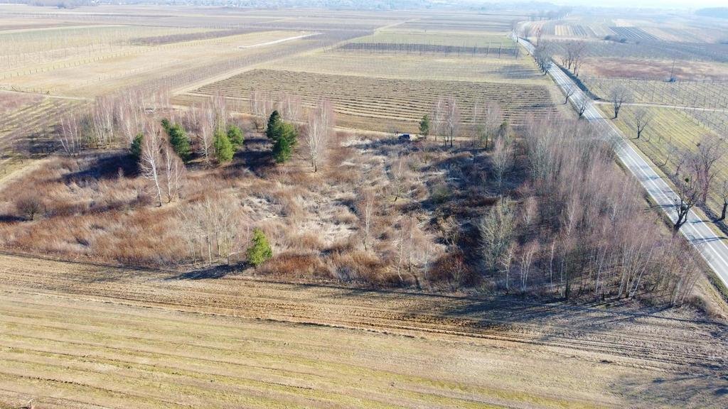 Działka rekreacyjna 1,7 ha pod zalesienie, blisko Kazimierza Karczmiska Pierwsze  17 447m2 Foto 1