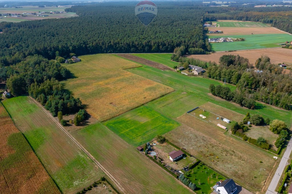 Działka budowlana na sprzedaż Wodzin Majoracki, Okupniki  1 058m2 Foto 2