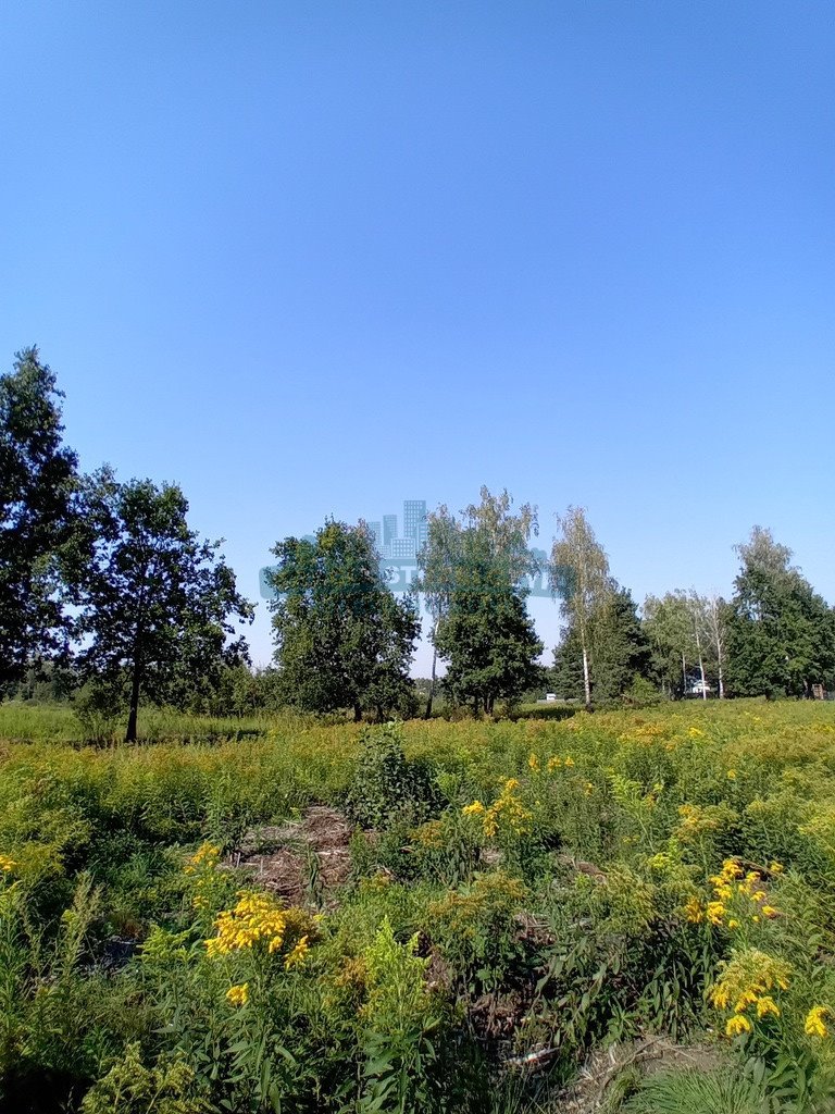 Działka budowlana na sprzedaż Izabelin-Dziekanówek  1 200m2 Foto 3