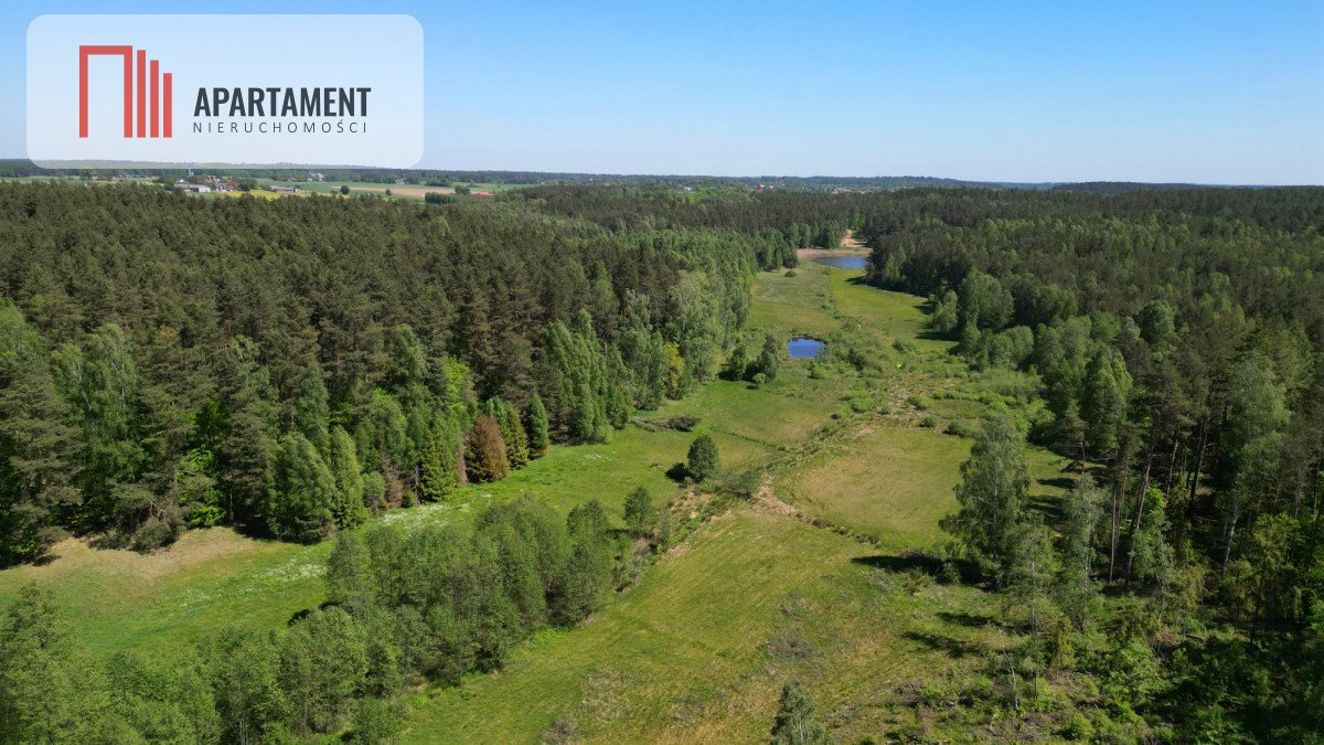 Działka budowlana na sprzedaż Borzechowo  46 200m2 Foto 8