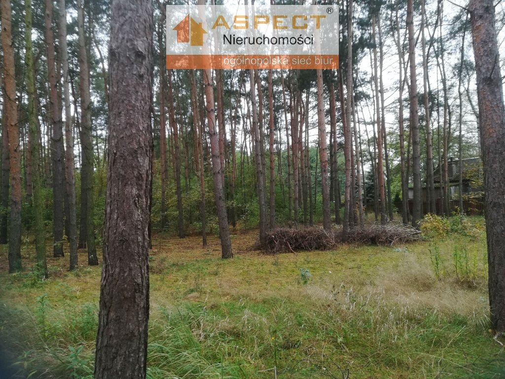Działka leśna na sprzedaż Liszyno  1 740m2 Foto 4
