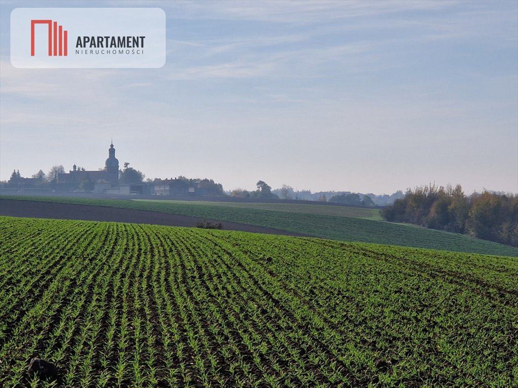 Działka gospodarstwo rolne na sprzedaż Żnin, Wilczkowska  10 800m2 Foto 8