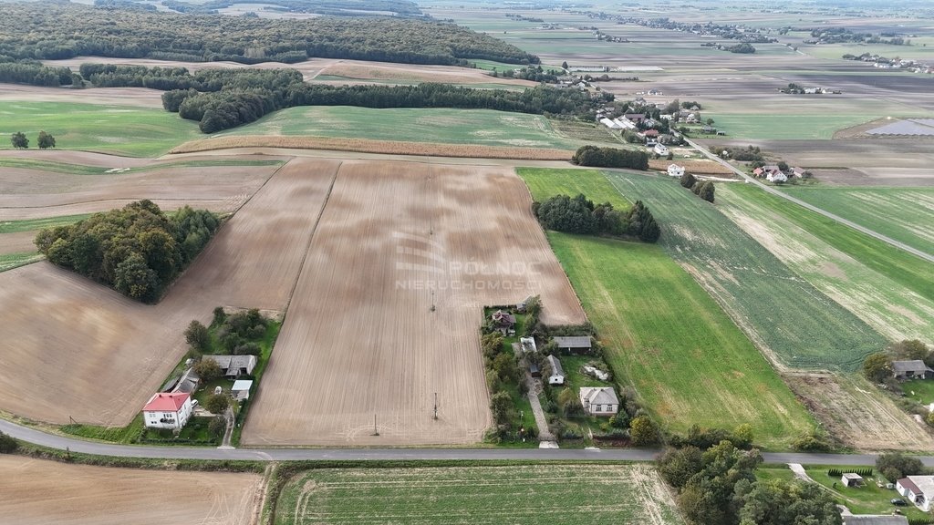 Działka siedliskowa na sprzedaż Łabunie  7 726m2 Foto 3