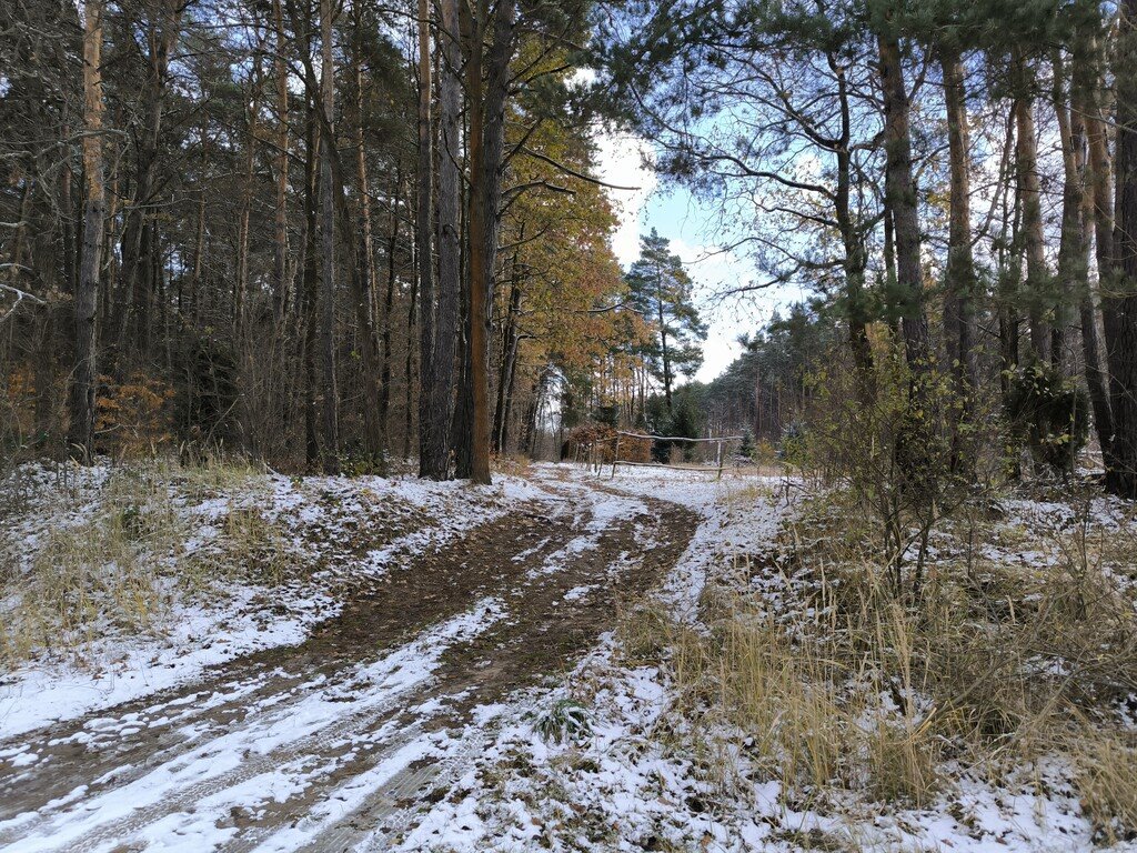 Działka rolna na sprzedaż Kielce, Iglasta  5 340m2 Foto 2