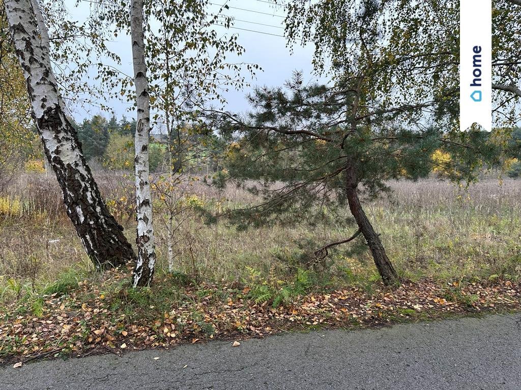 Działka budowlana na sprzedaż Sławków  3 739m2 Foto 5