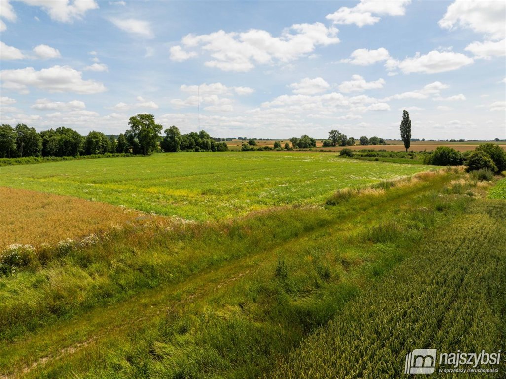 Działka rolna na sprzedaż Obromino  21 701m2 Foto 5