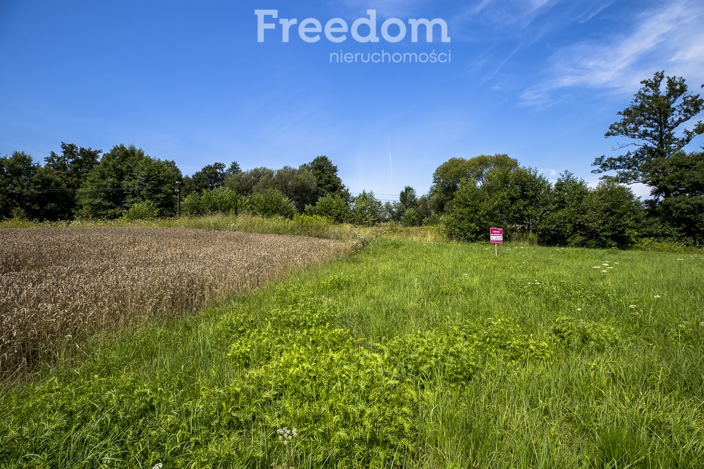 Działka rolna na sprzedaż Cieszyna  9 593m2 Foto 5