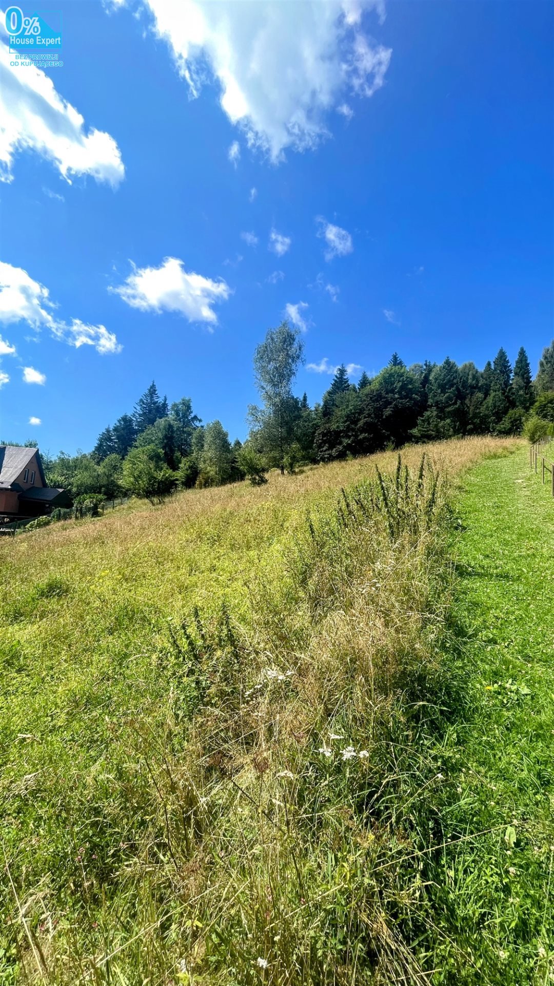 Działka inwestycyjna na sprzedaż Krynica-Zdrój  27 647m2 Foto 4