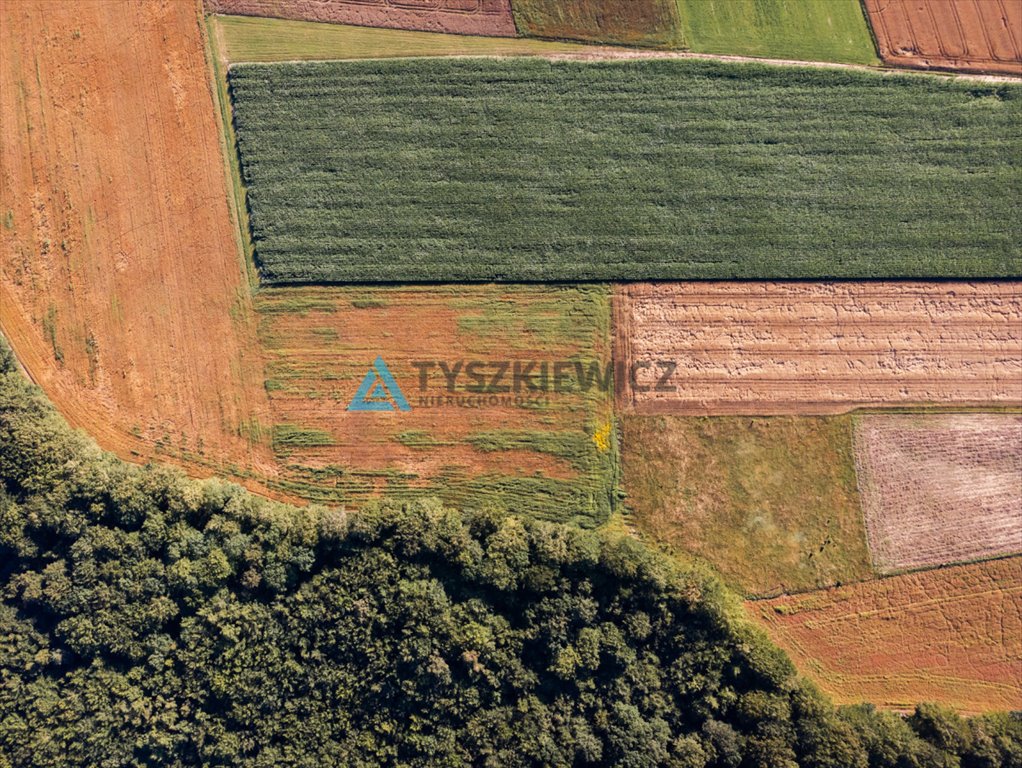 Działka rolna na sprzedaż Lisewo, Leśna  3 090m2 Foto 6