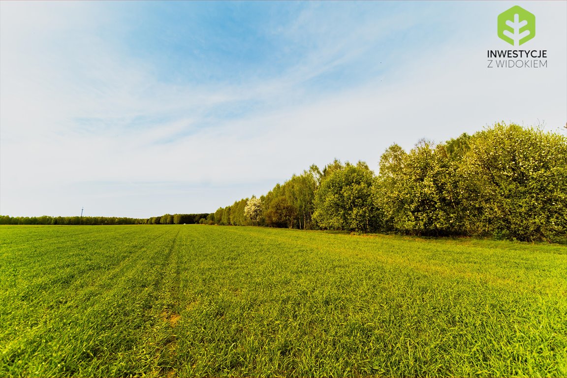 Działka budowlana na sprzedaż Radomsko, Kompleks działek budowlanych przy lesie i asfalcie blisko Radomska  700m2 Foto 5