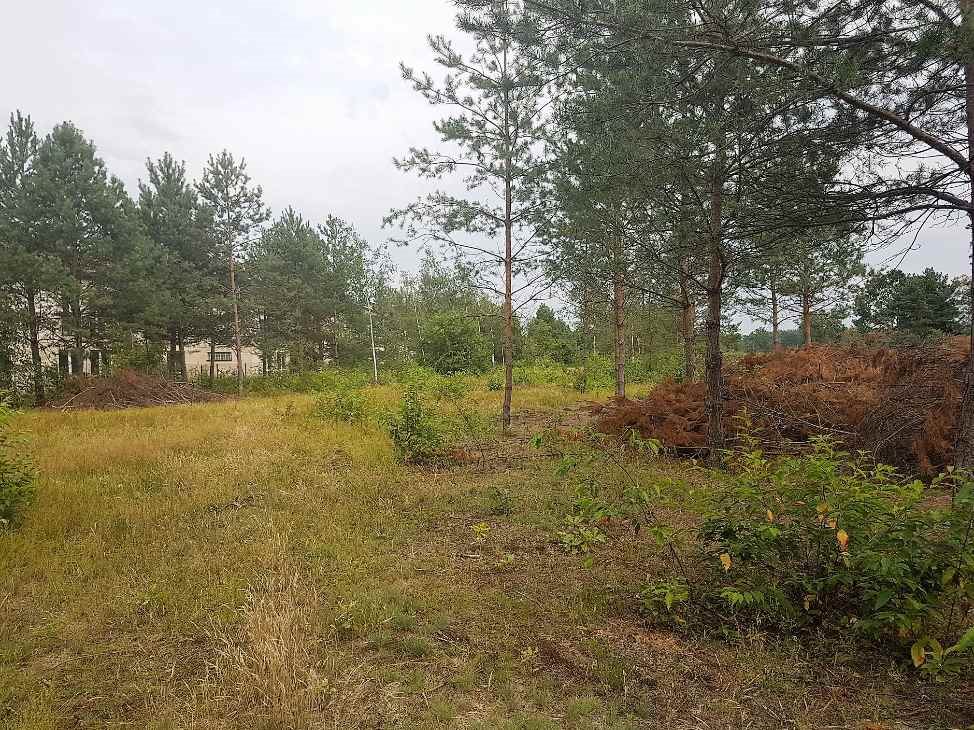 Działka budowlana na sprzedaż Warszawa, Wawer, Ogórkowa 3 780m2 Foto 1 Działka budowlana na sprzedaż Warszawa, Wawer, Ogórkowa 3 780m2 Foto 1