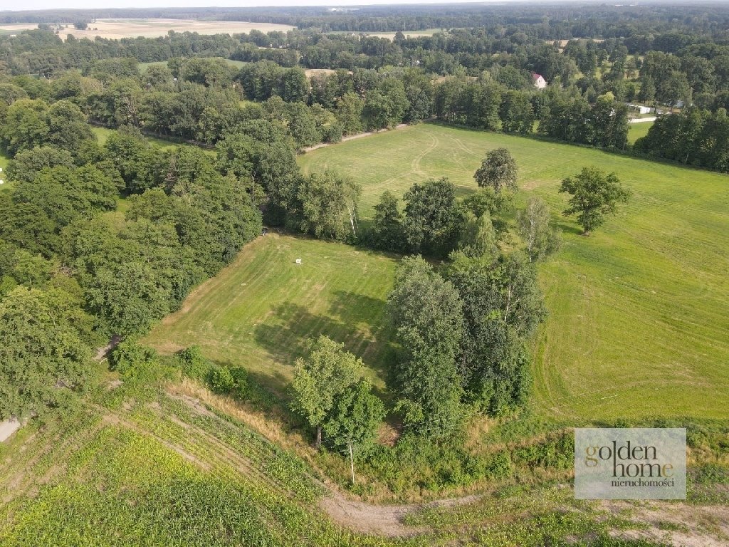 Działka budowlana na sprzedaż Nowy Tomyśl - najbliższa okolica, Albertowsko  5 000m2 Foto 5