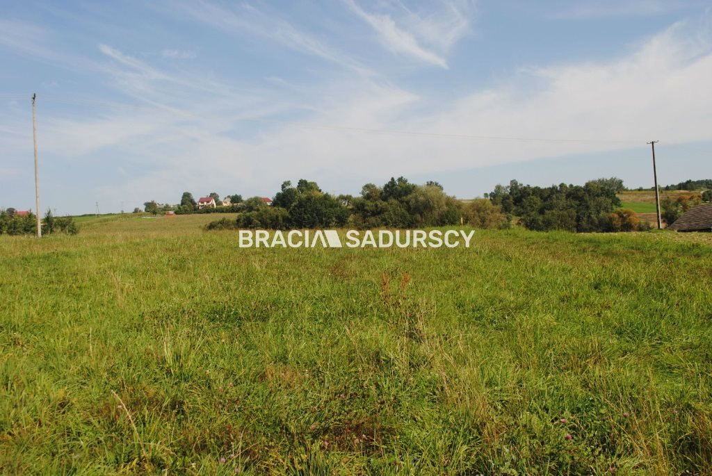 Zapraszam do zakupu dużej działki rolnej 92 arów z warunkami zabudowy Gruszów  9 200m2 Foto 1