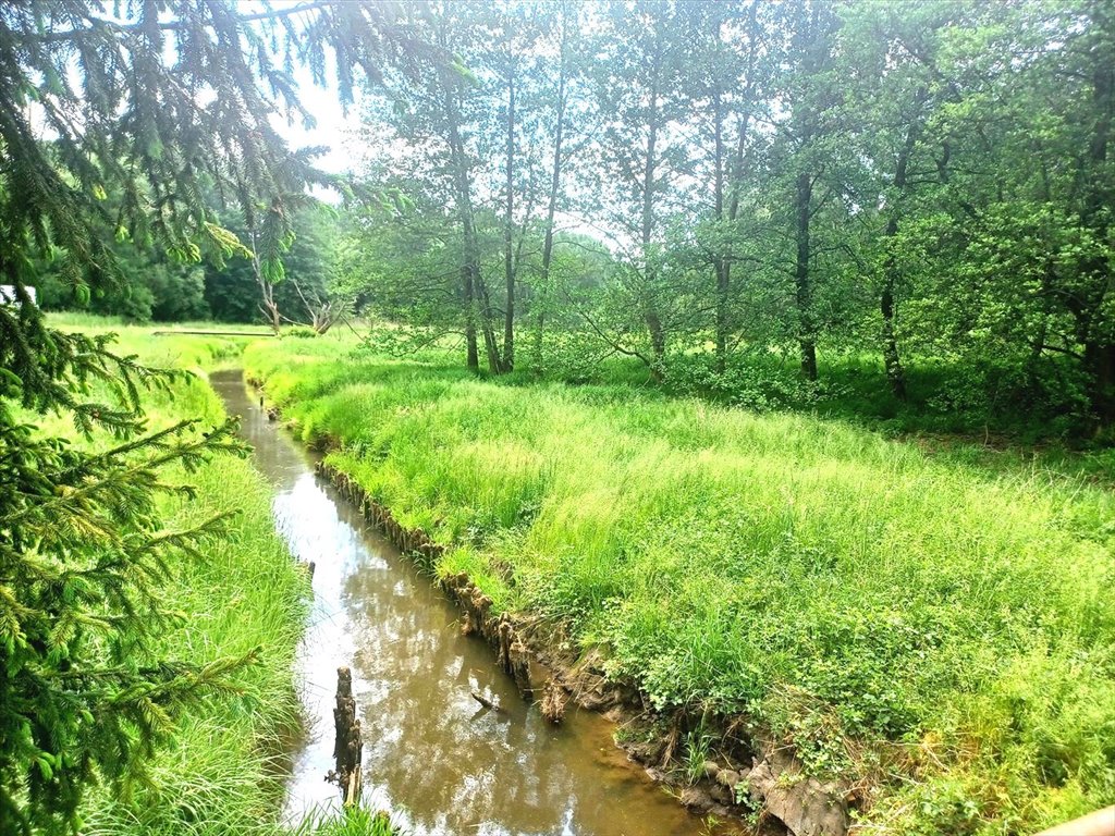 Dom na sprzedaż Woźniki, Śliwa  55m2 Foto 13