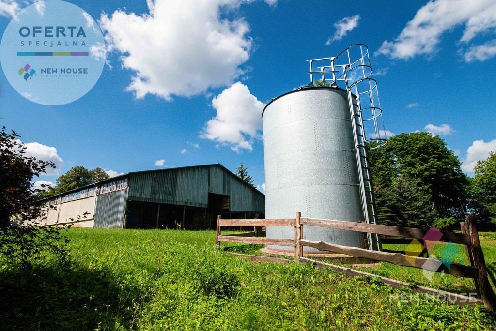 Lokal użytkowy na sprzedaż Dobrąg  700m2 Foto 17