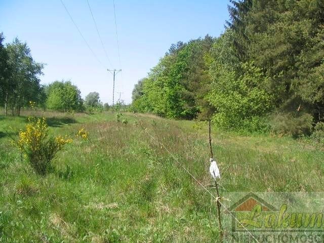 Działka rolna na sprzedaż Łukęcin 1 000m2 Foto 1 Działka rolna na sprzedaż Łukęcin 1 000m2 Foto 1