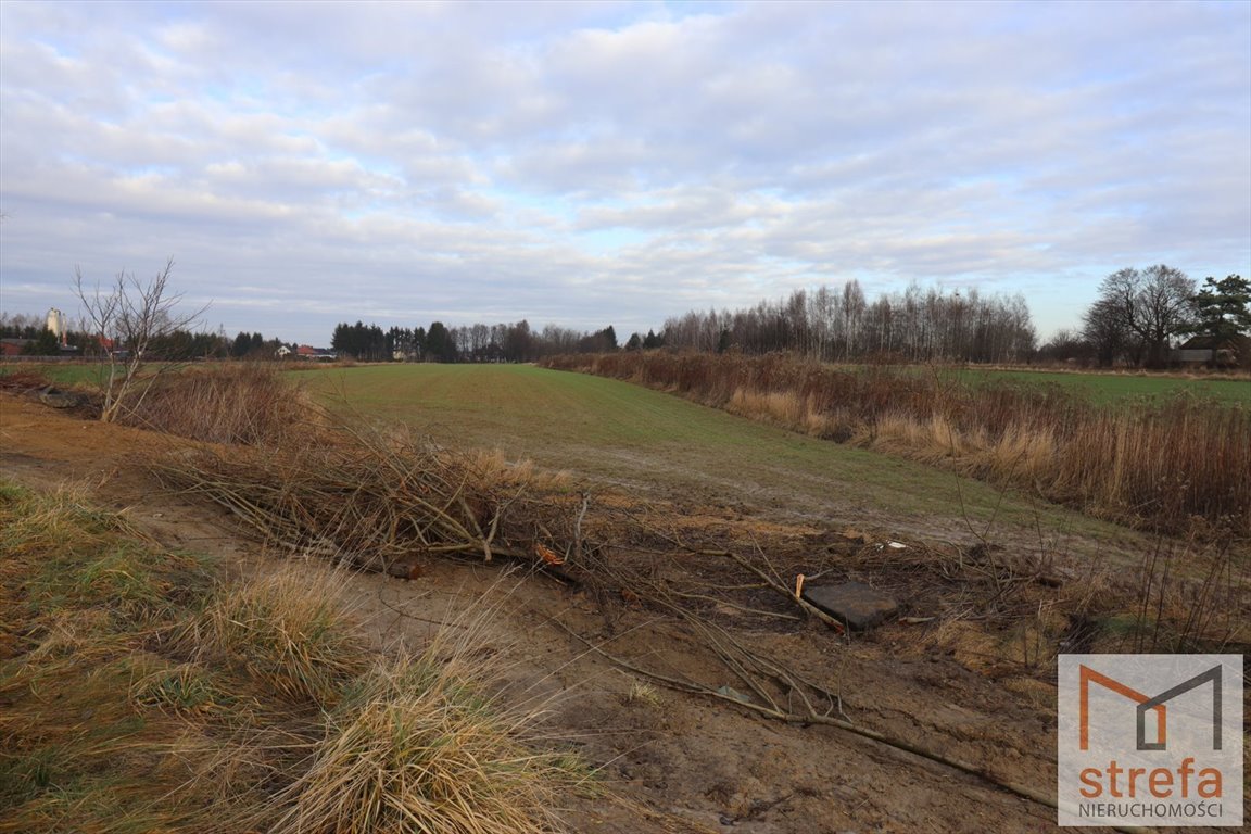 Działka inna na sprzedaż Majdan Krasieniński  1 500m2 Foto 2