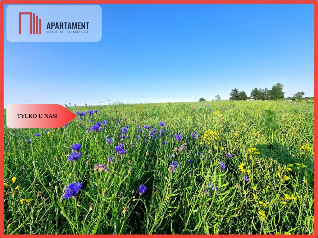 Działka budowlana na sprzedaż Objezierze  1 250m2 Foto 1