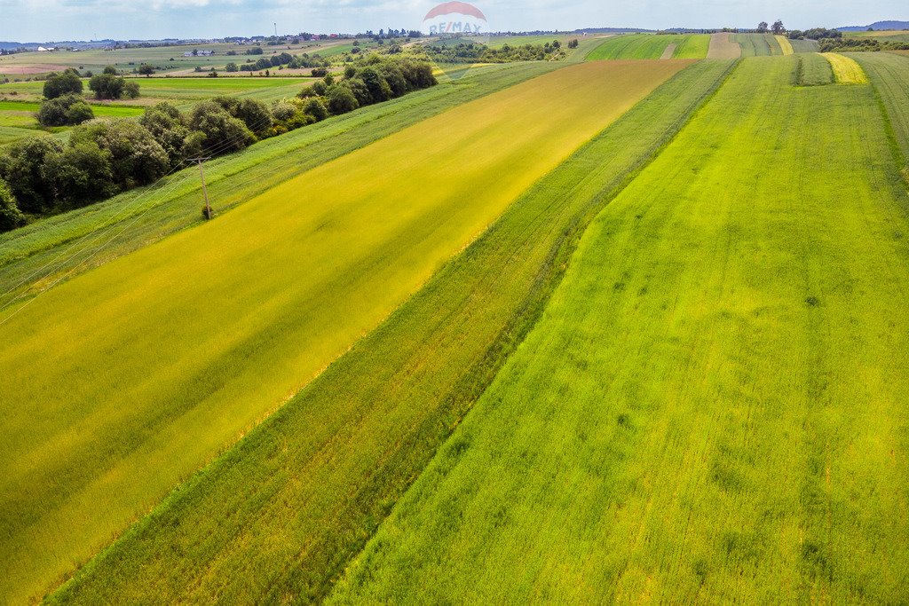 Działka inna na sprzedaż Skała  8 350m2 Foto 7