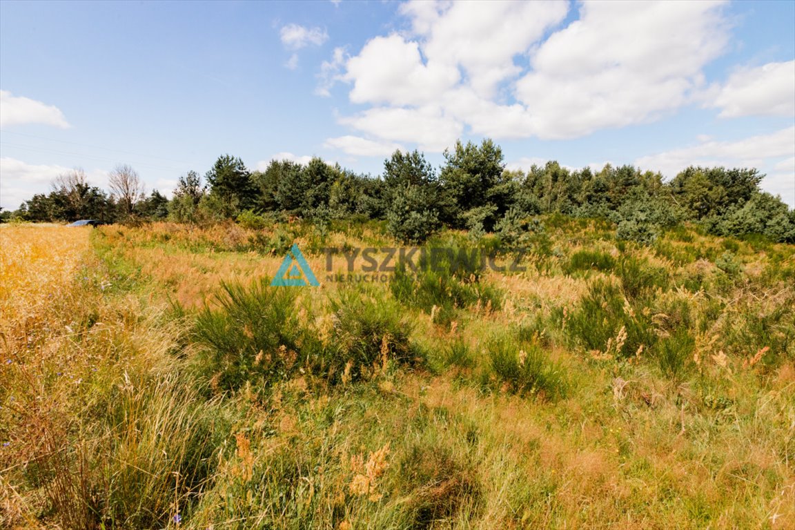 Działka rolna na sprzedaż Czarna Dąbrówka, Kaszubska  30 100m2 Foto 12