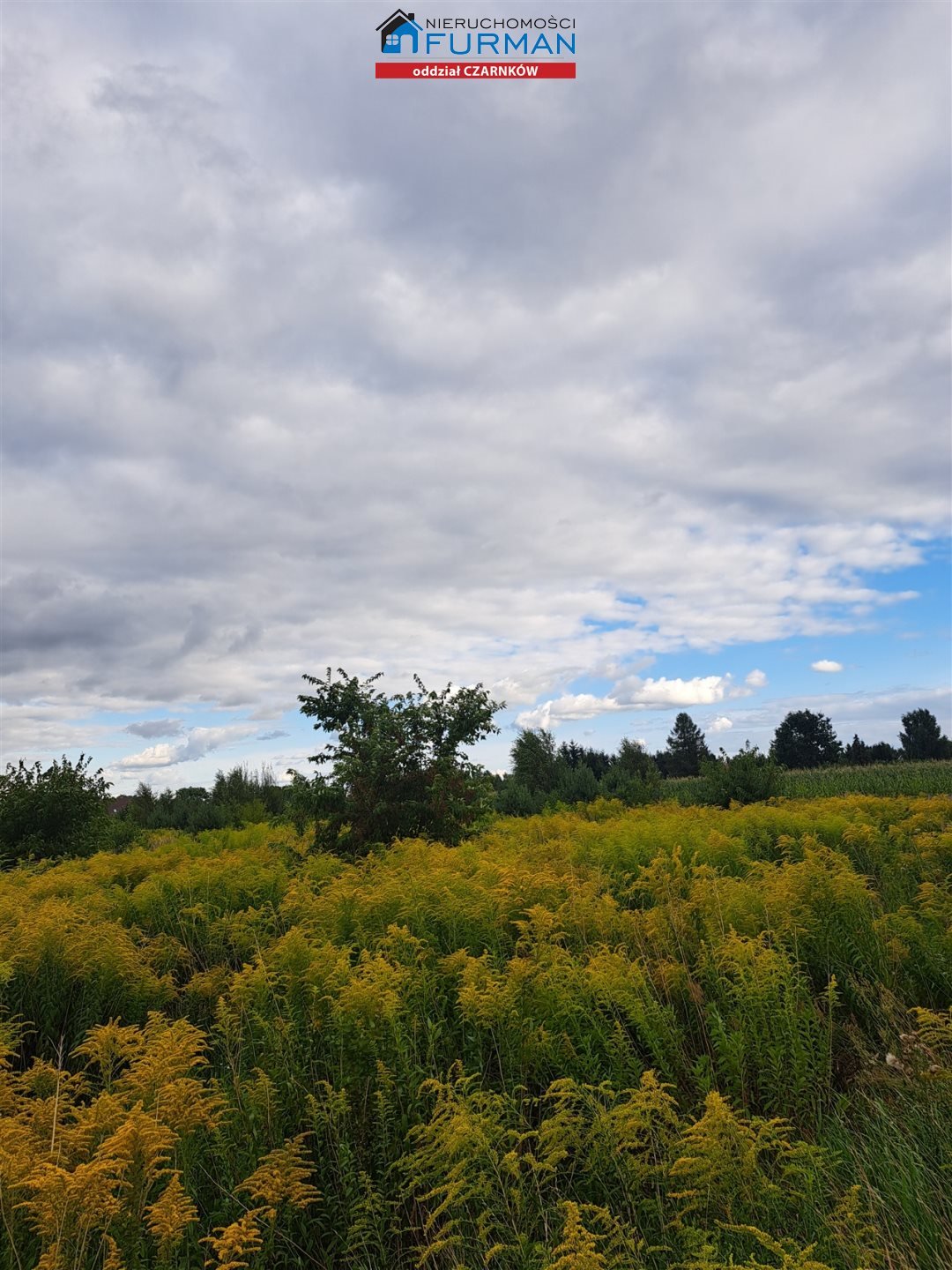 Działka 3 231 m² pod dom w spokojnej okolicy Ługi Ujskie  3 231m2 Foto 1