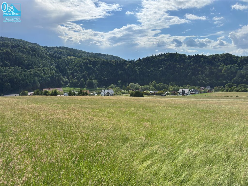 Działka 62 arów z panoramicznym widokiem w Muszynie Muszyna  6 228m2 Foto 1