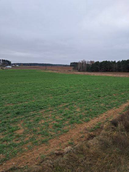 Dom na sprzedaż Jałówka  3 000m2 Foto 4