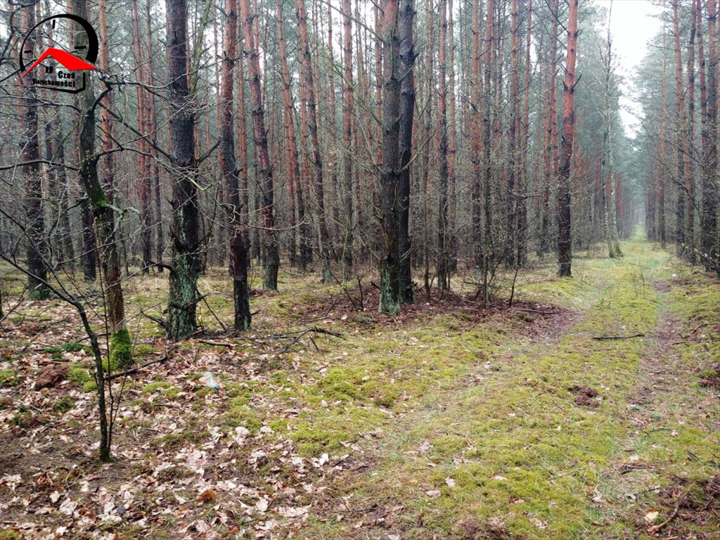 Działka gospodarstwo rolne na sprzedaż Smólniki Osieckie  10 000m2 Foto 2