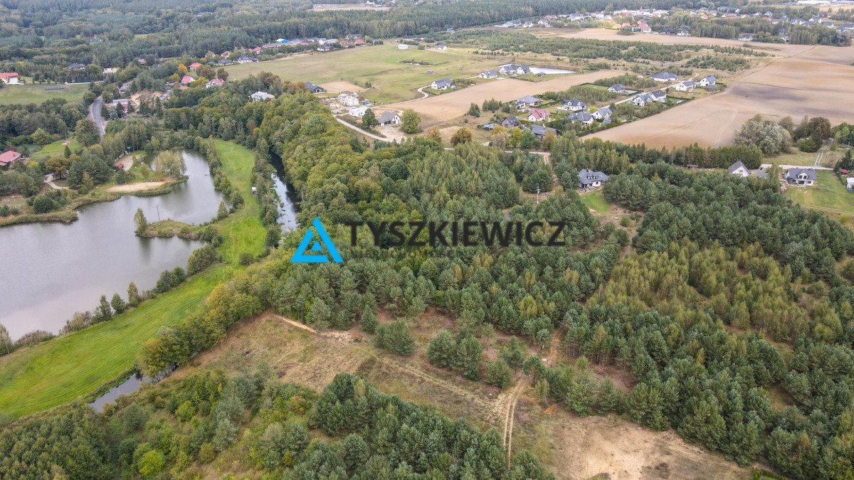 Działka 3685 m² w Żabnie, las, rzeka, prąd, spokój Żabno  3 685m2 Foto 1