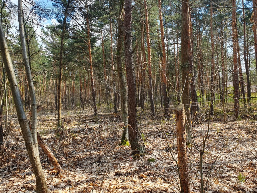 Działka leśna na sprzedaż Warszawa, Wawer Radość, Liścienia  1 818m2 Foto 1