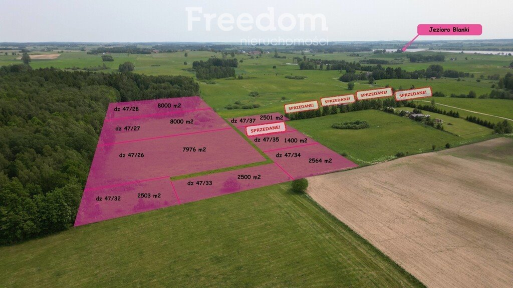 Działka budowlana na sprzedaż Blanki  2 500m2 Foto 1