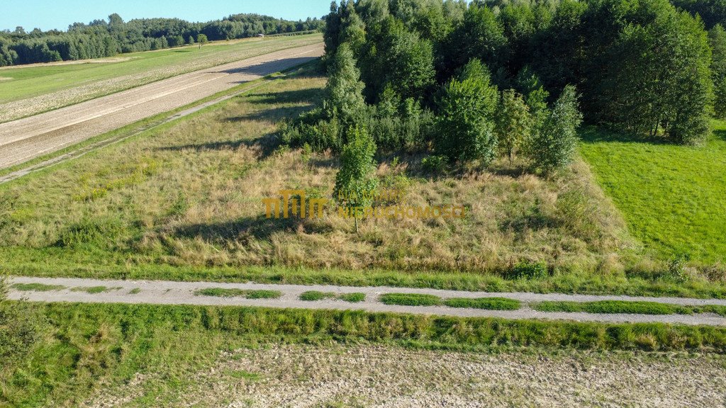 Działka budowlana na sprzedaż Białka  16 500m2 Foto 18