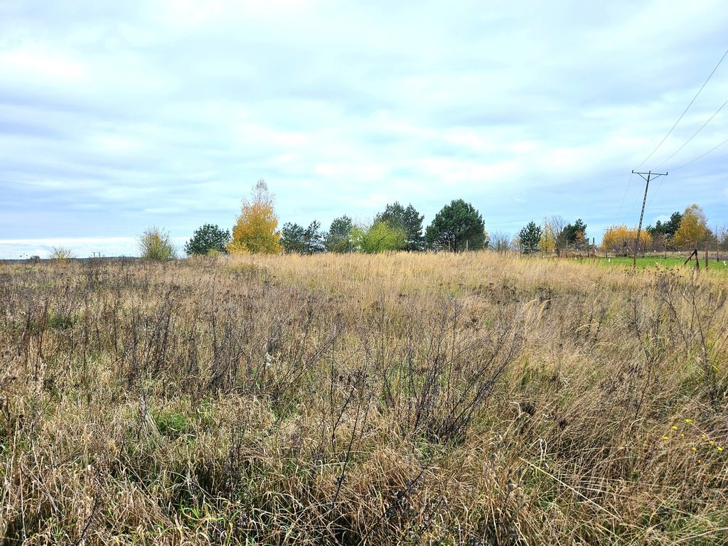 Działka budowlana na sprzedaż Moryń, Owocowa  944m2 Foto 3