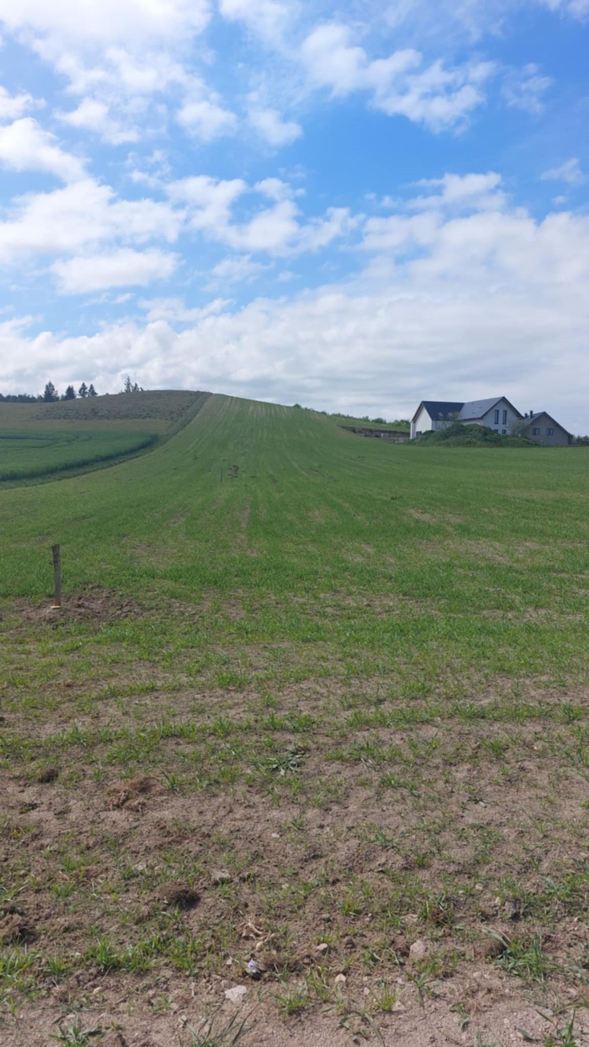 Działka budowlana na sprzedaż Sychowo, Kaszubska  1 061m2 Foto 1