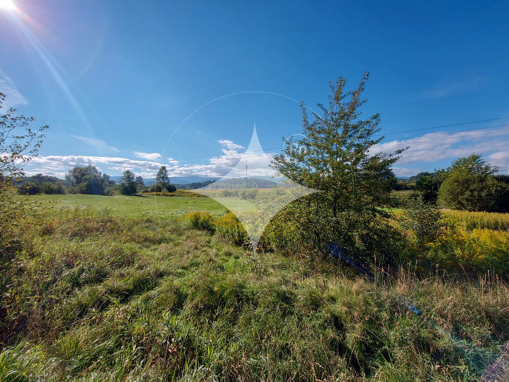 Przestronna działka 1,86 ha z domem i dostępem do asfaltu Jelenia Góra, Andrzeja Cinciały  18 637m2 Foto 1