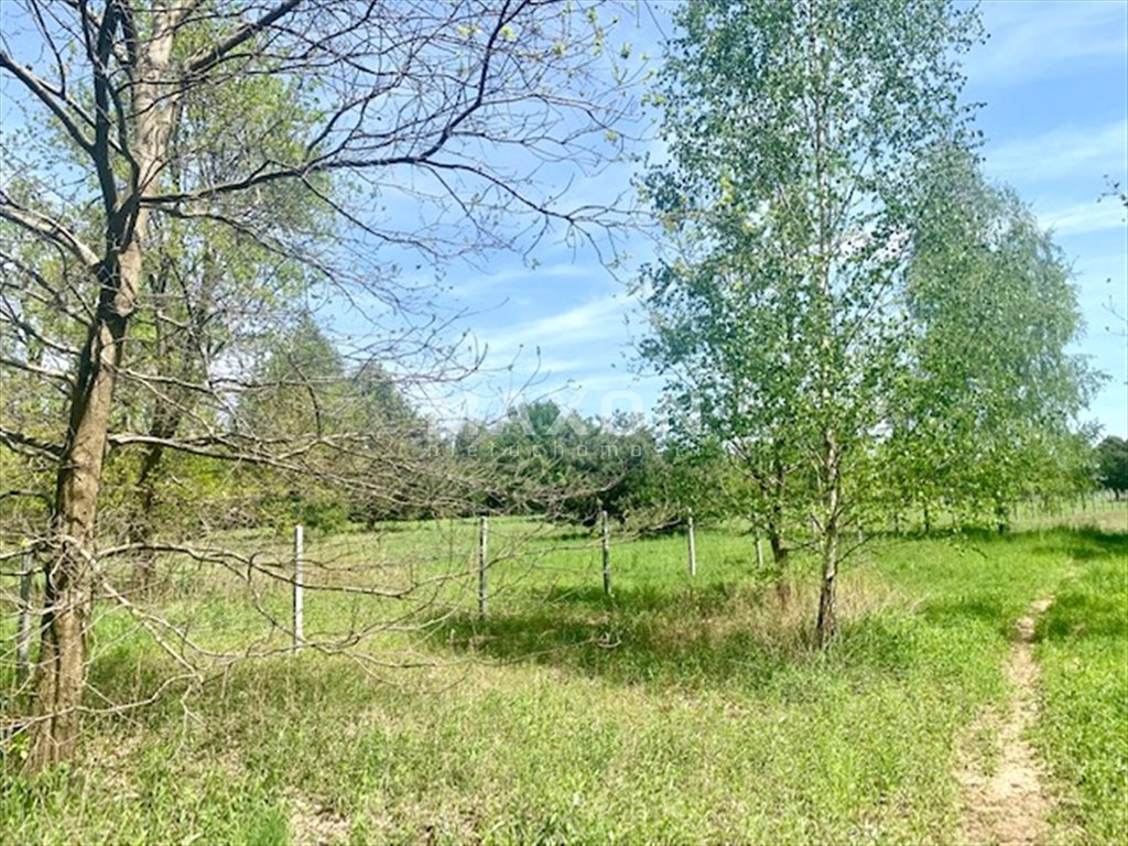 Działka budowlana na sprzedaż Siedliska  1 600m2 Foto 3