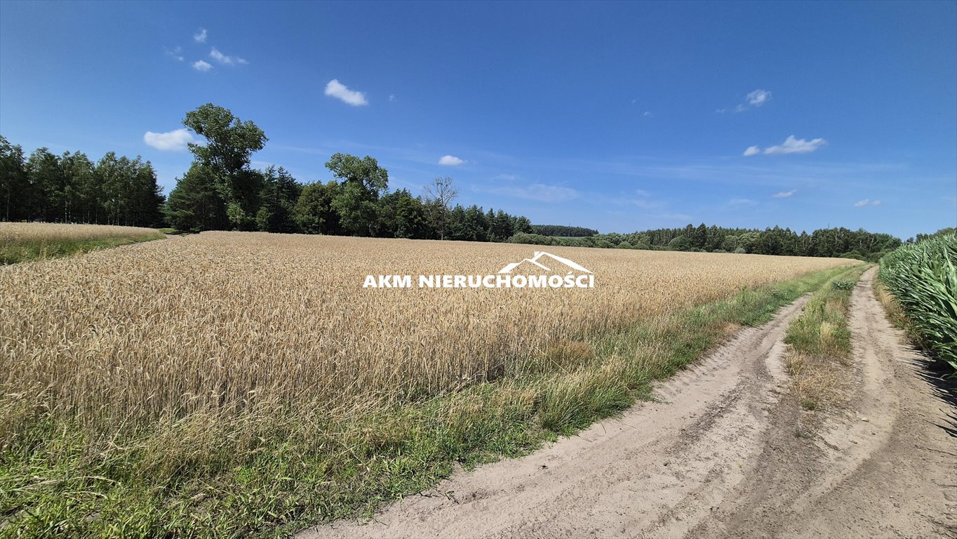 Działka inna na sprzedaż Franciszkowo  20 500m2 Foto 4