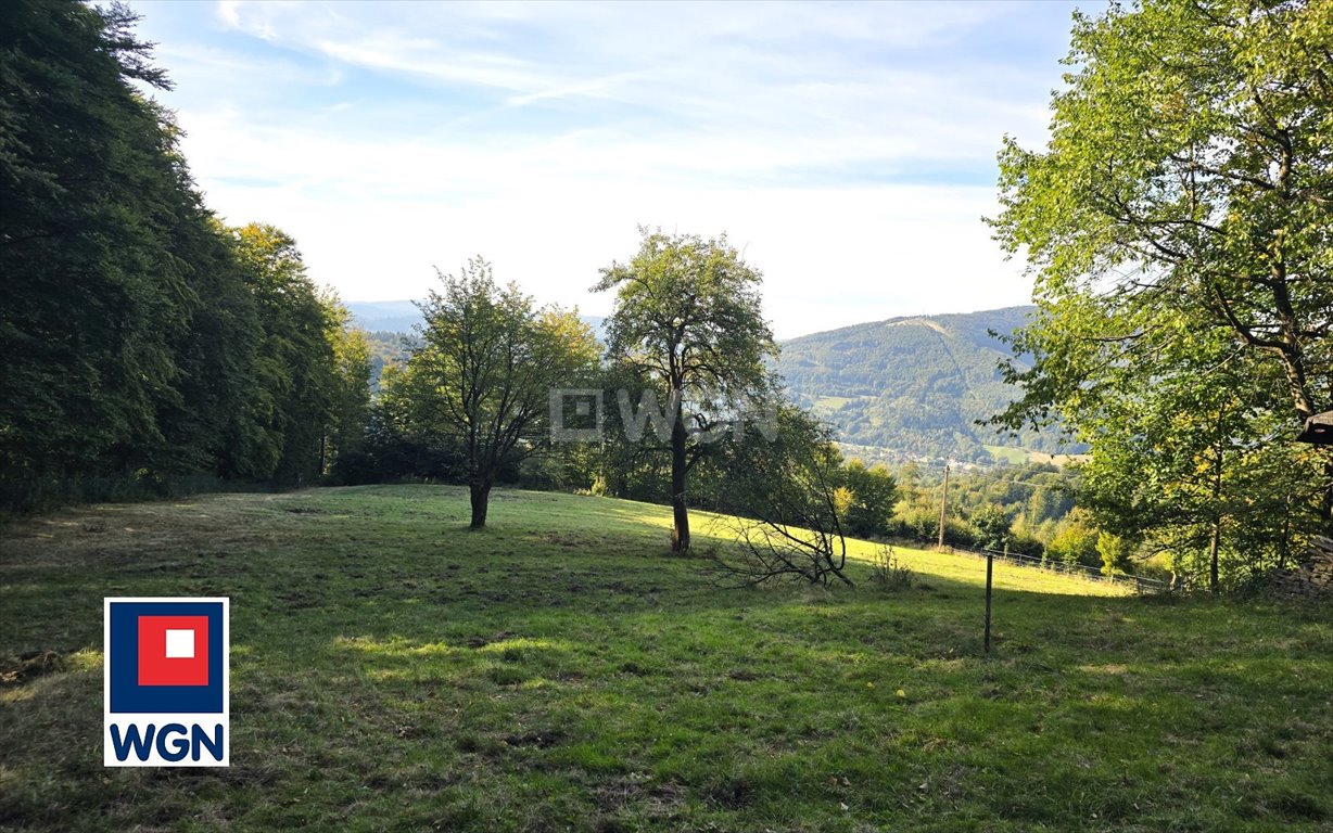 Działka siedliskowa na sprzedaż Ustroń, Równica  11 085m2 Foto 6