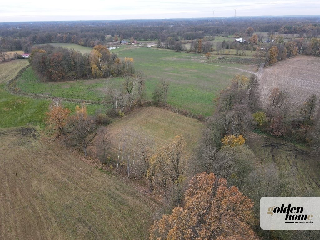 Działka budowlana na sprzedaż Kąkolewo, Albertowsko  5 000m2 Foto 7