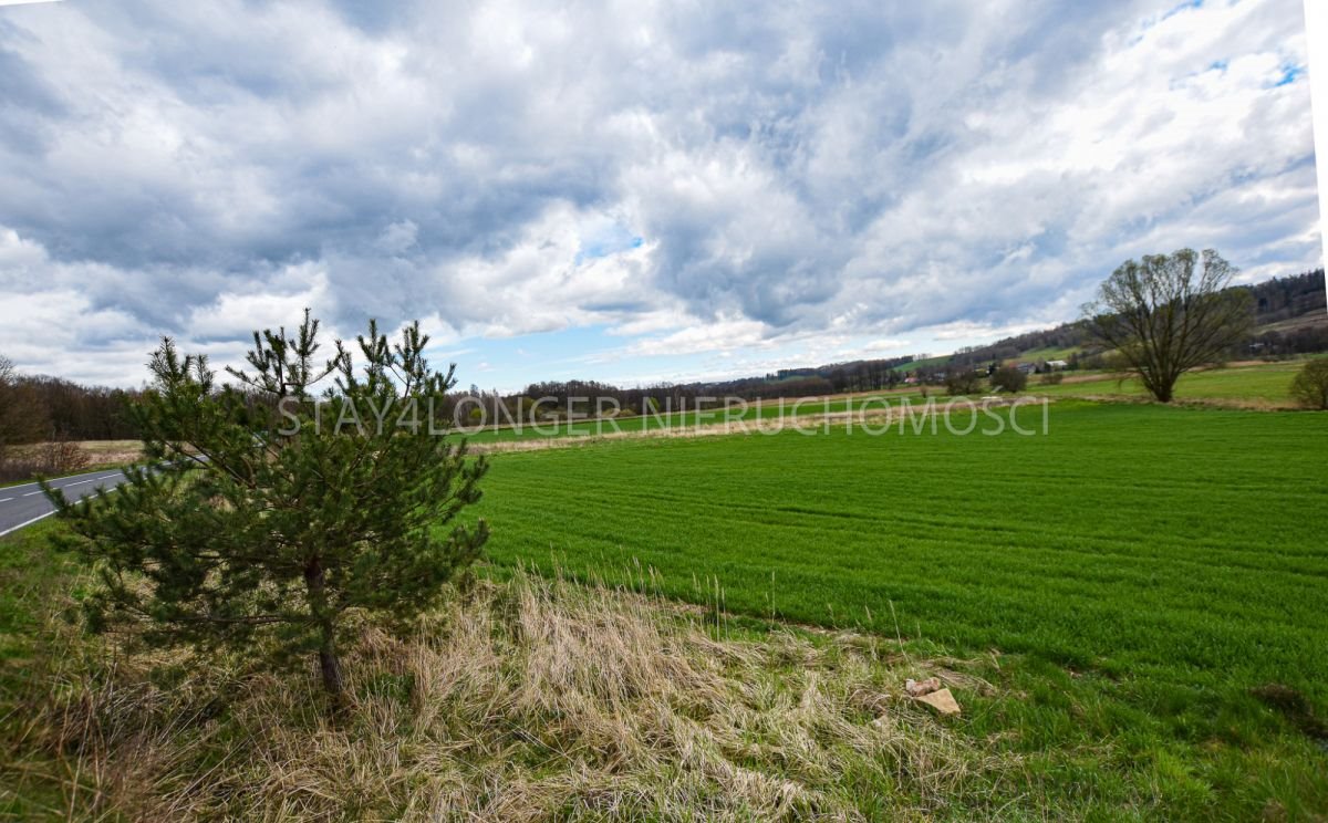 Działka przemysłowo-handlowa na sprzedaż Lwówek Śląski, Płakowice  6 800m2 Foto 4