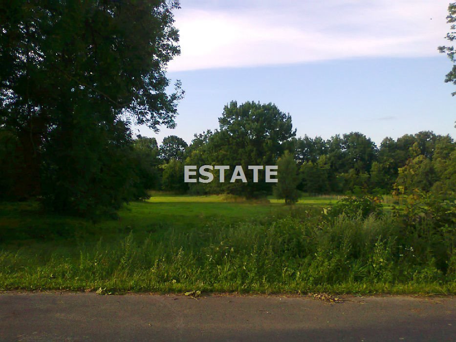 Działka 5006 m2 z projektem podziału i dostępem do mediów Adamów  5 006m2 Foto 1